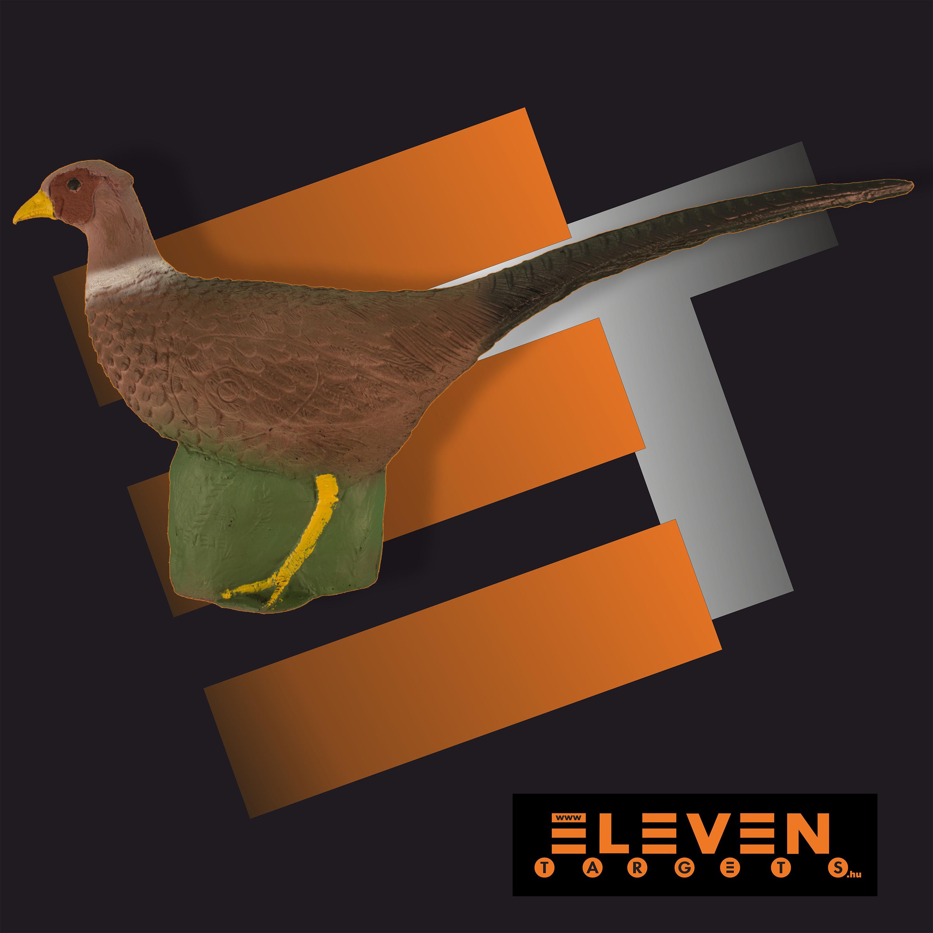  Eleven Phesant E34 3D Target
