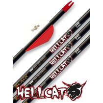  Win&Win Hellcat ultralight Pfeil